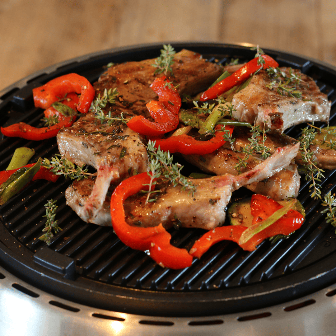 BBQ2GO pro