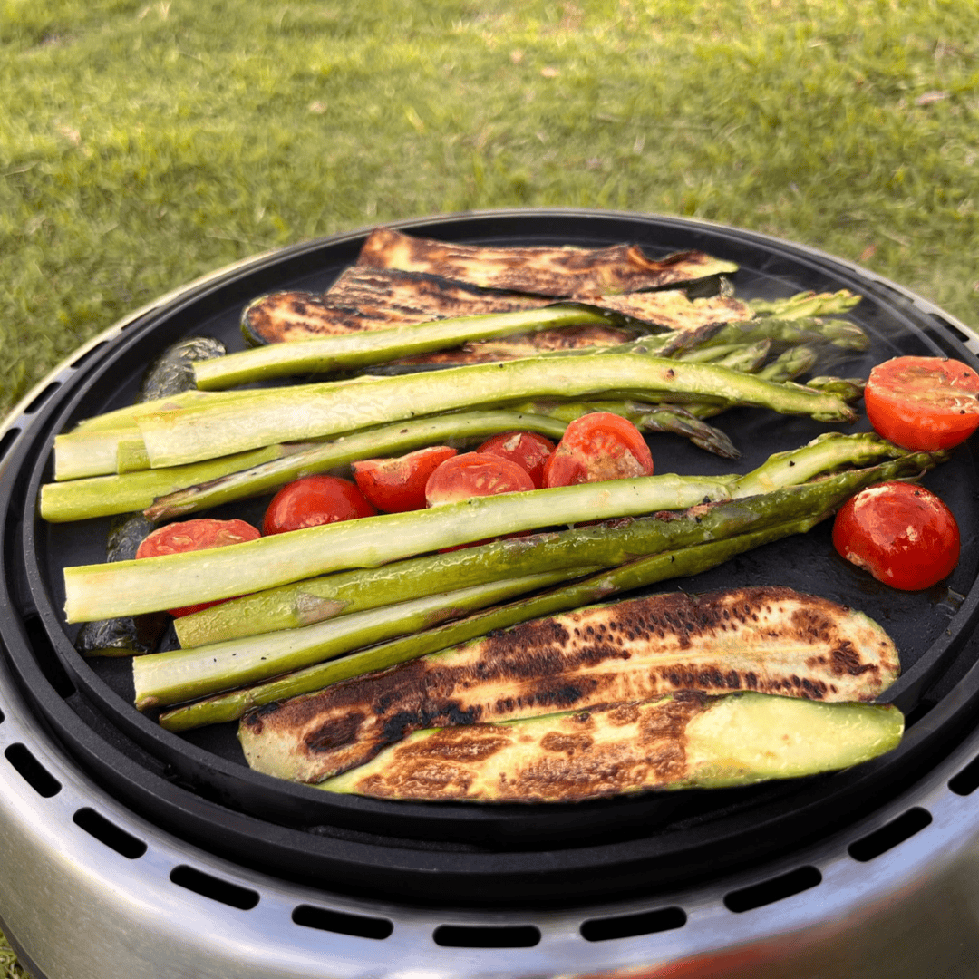 BBQ2GO pro